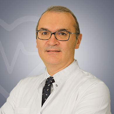  Dr. Oner Gulcan